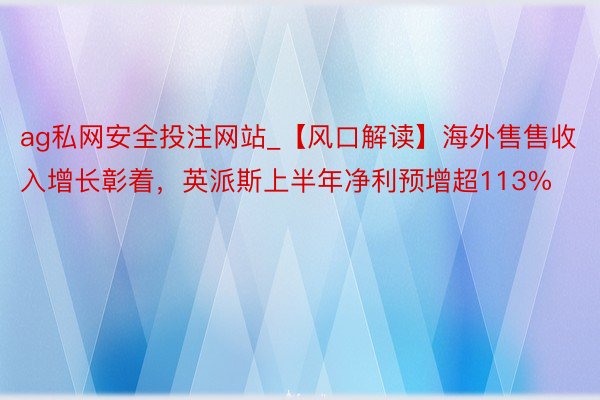 ag私网安全投注网站_【风口解读】海外售售收入增长彰着，英派斯上半年净利预增超113%