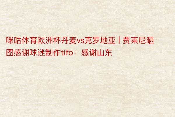 咪咕体育欧洲杯丹麦vs克罗地亚 | 费莱尼晒图感谢球迷制作tifo：感谢山东