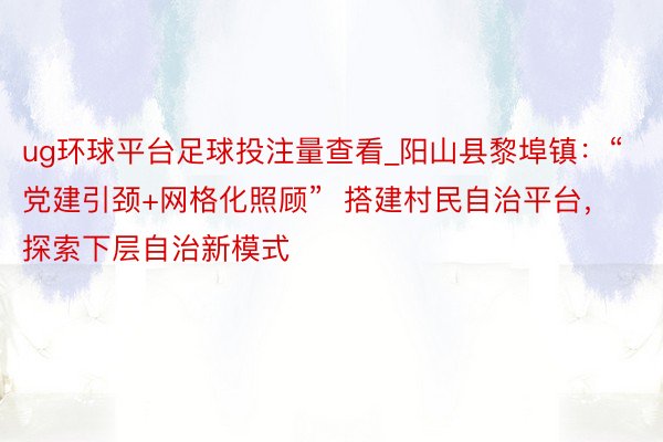 ug环球平台足球投注量查看_阳山县黎埠镇：“党建引颈+网格化照顾”  搭建村民自治平台，探索下层自治新模式