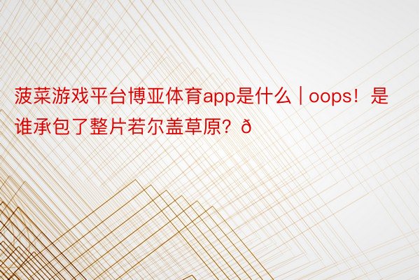 菠菜游戏平台博亚体育app是什么 | oops！是谁承包了整片若尔盖草原？🍂