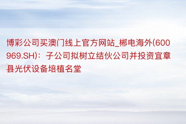 博彩公司买澳门线上官方网站_郴电海外(600969.SH)：子公司拟树立结伙公司并投资宜章县光伏设备培植名堂